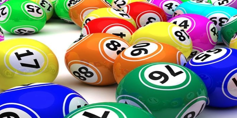 5 kinh nghiệm nuôi song thủ bất bại cần biết