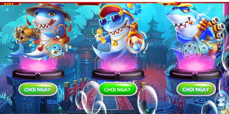 Thiết kế đồ họa sinh động và bắt mắt