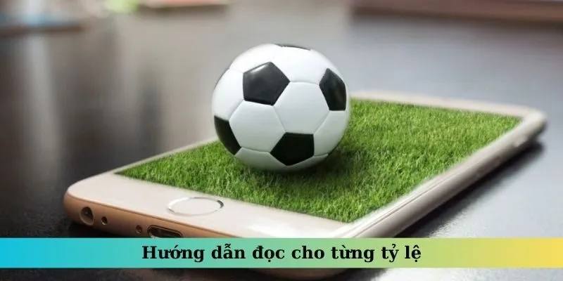 Hướng dẫn chi tiết cách đọc các loại kèo chấp phổ biến tại nhà cái