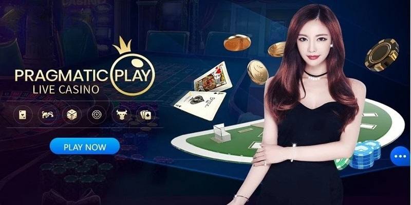 Nhà cung cấp PP tạo nên vị thế siêu hot trên thị trường trực tuyến