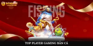 Top Player Gaming Bắn Cá